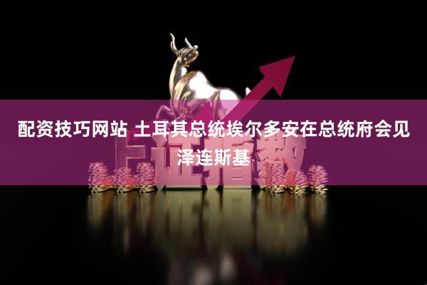 配资技巧网站 土耳其总统埃尔多安在总统府会见泽连斯基