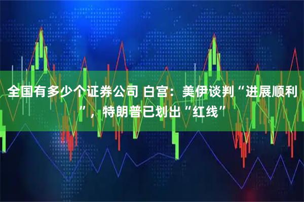 全国有多少个证券公司 白宫：美伊谈判“进展顺利”，特朗普已划出“红线”